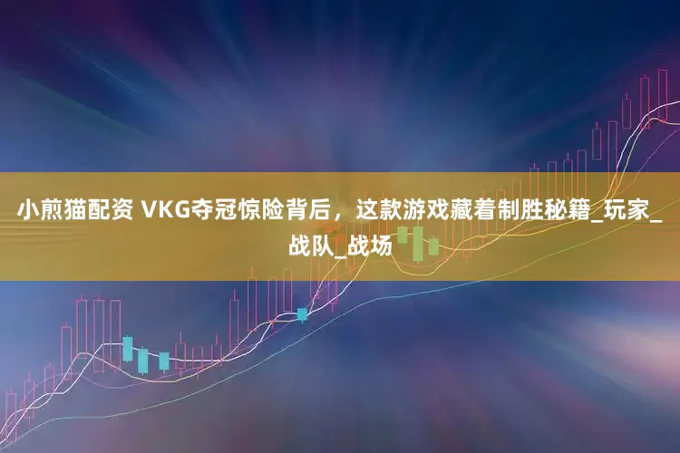 小煎猫配资 VKG夺冠惊险背后，这款游戏藏着制胜秘籍_玩家_战队_战场