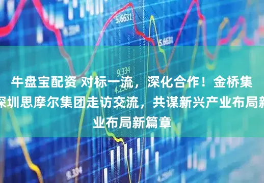 牛盘宝配资 对标一流，深化合作！金桥集团赴深圳思摩尔集团走访交流，共谋新兴产业布局新篇章
