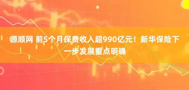 源顺网 前5个月保费收入超990亿元！新华保险下一步发展重点明确